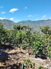 Venta lote en Frailes de Desamparados en Frailes, Desamparados, San José — 43 500 000 ₡ - Foto 4 de 11