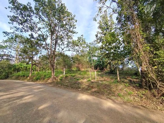 Eco-Coastal Lots with Community Garden & Walkable Design en Cuajiniquil, Santa Cruz, Guanacaste — $135,000 - Foto 3 de 19
