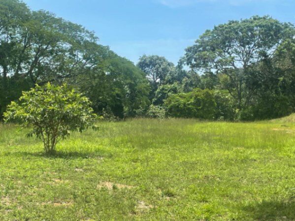 Terreno Ciudad Colón  in Colón, Mora, San José — ₡ 329 000 000