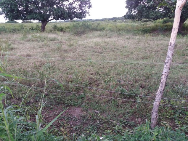 Finca 130 Ha a 30 Minutos del Aeropuerto Liberia en Liberia, Guanacaste — $1,550,000 - Foto 3 de 5