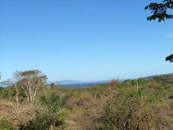 VENDO bello  5.000 METROS lote con vista al mar en OROTINA