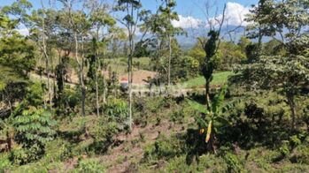 LOTE EN VENTA EN LAS MERCEDES DE CAJÓN, PÉREZ ZELEDÓN – 10,718 m² CON VISTA Y ÁRBOLES FRUTALES in Cajón, Pérez Zeledón, San José — $70,000 - Photo 5 of 5