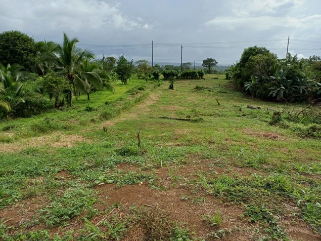 VENTA DE LOTE USO DE SUELO MIXTO, HEREDIA, SARAPIQUI, HORQUETAS en Puerto Viejo, Sarapiquí, Heredia — ₡ 40 000 000 - Foto 2 de 6
