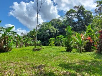 Quinta a la venta en Mundimar, Guápiles en Guápiles, Pococí, Limón — 32 000 000 ₡ - Foto 5 de 9