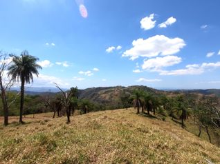 FINCA BARROETA - Una Finca de 16 Hectáreas (161,799 m²) in Atenas, Alajuela — $875,000 - Photo 2 of 24