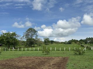 Venta Lote Residencial y Comercial, Esparza, PUntarenas  (FAU) en Espíritu Santo, Esparza, Puntarenas — 170 000 000 ₡ - Foto 4 de 6