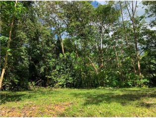 👁INVESTMENT OPPORTUNITY IN UVITA.🌴 in Bahía Ballena, Osa, Puntarenas — $475,000 - Photo 2 of 15