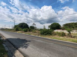 Terreno industrial en Orotina ideal para Centro de almacenamiento en La Ceiba, Orotina, Alajuela — $530,750 - Foto 2 de 13