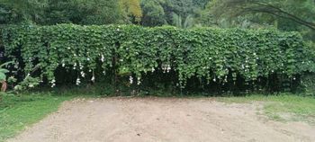 Oportunidad de inversión en Sámara en Sámara, Nicoya, Guanacaste — $342,000 - Foto 4 de 8