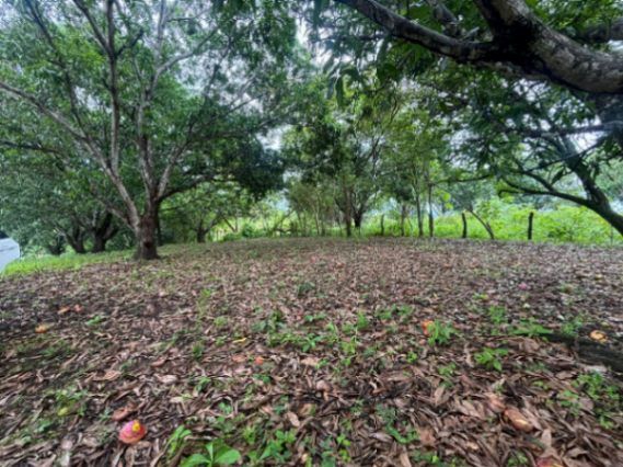 lote orotina in El Mastate, Orotina, Alajuela — ₡ 55 000 000