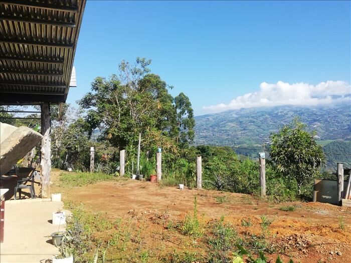 Finca con cabaña in Tucurrique, Jiménez, Cartago — ₡ 50 000 000