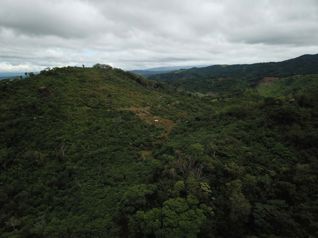 Venta Terreno (Finca) de Uso Agricola, Guanacaste, Cañas - Photo 2 of 3