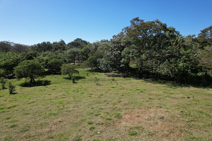 Property for Sale in Barrio Mercedes and Atenas in Jesús, Atenas, Alajuela — ₡ 360 000 000 - Photo 2 of 20