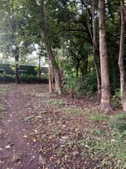 Venta de Lote en Santa Cruz de Guanacaste. RAH 25-1924 en Veintisiete De Abril, Santa Cruz, Guanacaste — 80 000 000 ₡ - Foto 5 de 9
