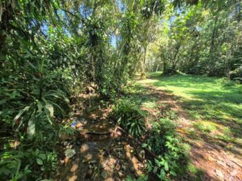 HERMOSA FINCA DE 10+ HECTÁREAS EN QUIZARRÁ, EXCELENTE UBICACIÓN in San Isidro De El General, Pérez Zeledón, San José — $399,999 - Photo 4 of 21
