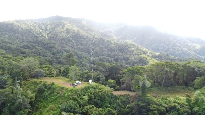 Terreno ,plano listo para construir . en Puerto Cortés, Osa, Puntarenas — $500,000