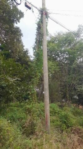 🌴 VENTA DE LOTE – Guanacaste, Santa Cruz en Santa Cruz, Guanacaste — ₡ 73 000 000