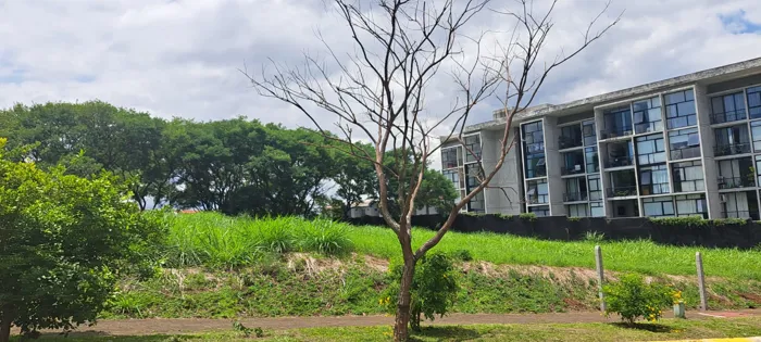 VENTA DE LOTE, HEREDIA, CARIARI en Heredia — $969,475 - Foto 3 de 4