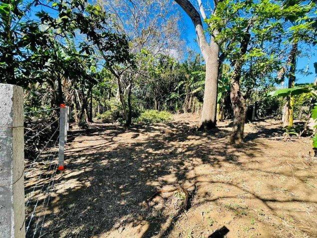 Terreno listo para construir en San Juan de Santa Barbara en San Juan, Santa Bárbara, Heredia — ₡ 49 000 000 - Foto 3 de 9