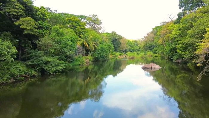 SE VENDE ECO LODGE CAÑAS CASTILLA EN FUNCIONAMIENTO en La Cruz, Guanacaste — $795,000