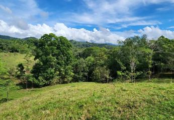 Se vende finca de 19 hectáreas en la bola, turrubares, Carara. en Carara, Turrubares, San José — 150 000 000 ₡ - Foto 4 de 11
