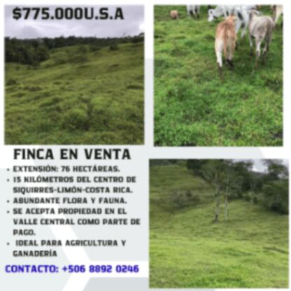 VENTA DE FINCA EN SIQUIRRES, LIMÓN –COSTA RICA - ZONA LAS BRISAS DE PACUARITO. en Cahuita, Talamanca, Limón — $775,000