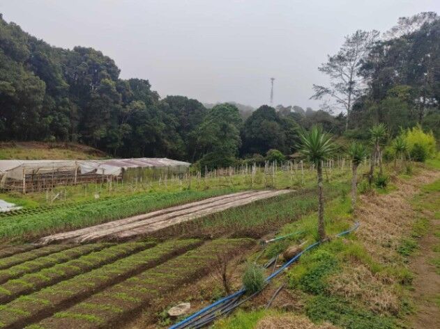 Venta de Hermoso Terreno Agrícola en Santa María, Dota / JB OFC Mls. 25-1060 en Santa María, Dota, San José — $710,000