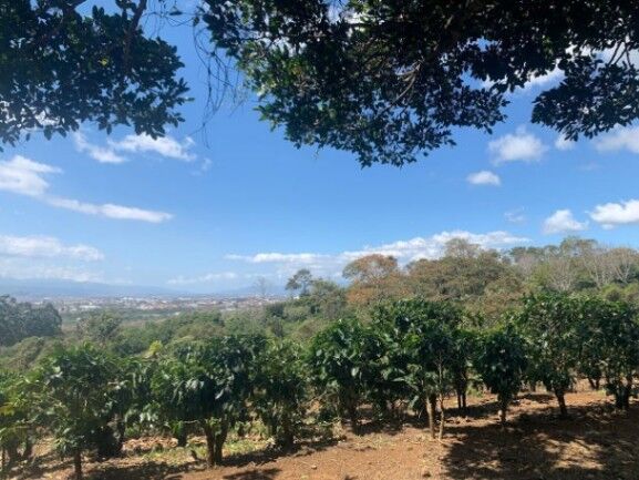 Se vende amplia finca de 18 hectáreas en Concepción Heredia 25-1394 in Concepción, San Rafael, Heredia — $5,770,931