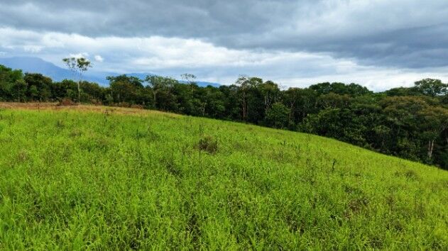 VENTA DE QUINTA DE 7.000 M2 EN SANTA CECILIA DE SAN PEDRO, PEREZ ZELEDON: CLIMA FRESCO Y VISTAS in San Pedro, Pérez Zeledón, San José — $80,000