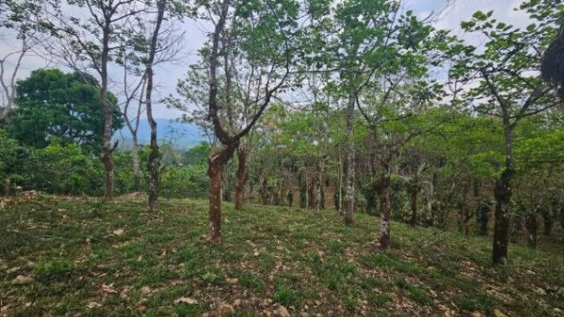 Quinta de 1.2 hectares en Quizarra, Cajon en Cajón, Pérez Zeledón, San José — $135,000