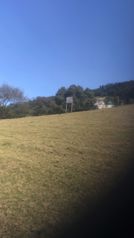 Las Pavas farm, Llano Grande de Cartago in Llano Grande, Cartago — 250 000 000 ₡ - Photo 3 of 9