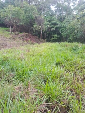 DE OPORTUNIDAD BELLA FINCA EN CINCHONA, ALAJUELA.  en Alajuela — ₡ 12 000 000