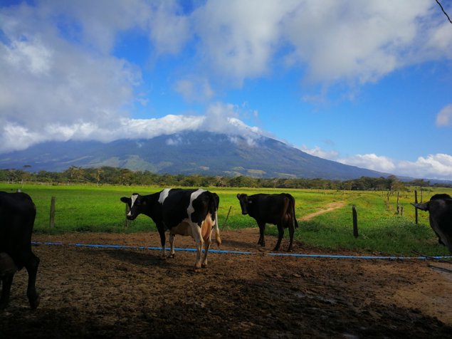 Finca lechera de alto rendimiento Pacifico Norte en Liberia, Guanacaste — $5,500,000