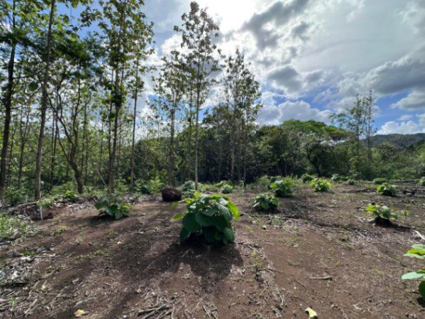 Venta de Lote en Nicoya, Guanacaste. RAH 25-1990 in Nicoya, Guanacaste — $60,000