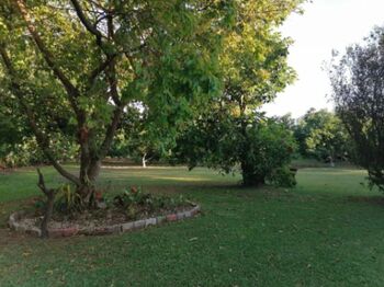 VENTA DE CASA CALLE RODRIGUEZ GRECIA 500MTS in Grecia, Alajuela — 165 000 000 ₡ - Photo 4 of 14