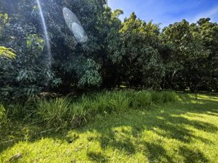 EN VENTA Lote en Condominio Hacienda Los Ceibos Orotina en La Ceiba, Orotina, Alajuela — $168,660 - Foto 5 de 30