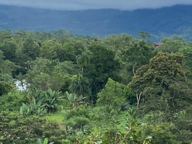 Se vende espectacular finca de 4 hectáreas con CASA en La Unión, San Pedro de Pérez Zeledón en San Pedro, Pérez Zeledón, San José — ₡ 165 000 000