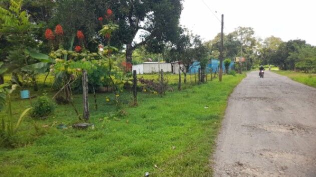 SE VENDE BELLA PROPIEDAD EN PÉREZ ZELEDÓN.  in Platanares, Pérez Zeledón, San José — ₡ 25 000 000