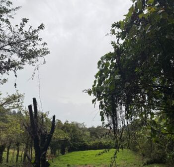 Lote en venta en Aserrí, Tarbaca – 500 m² con acceso a calle pública in Tarbaca, Aserrí, San José — 21 000 000 ₡ - Photo 4 of 5