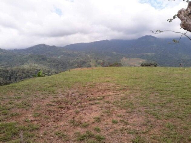 Lot with ocean view en Puerto Cortés, Osa, Puntarenas — ₡ 279 500 000