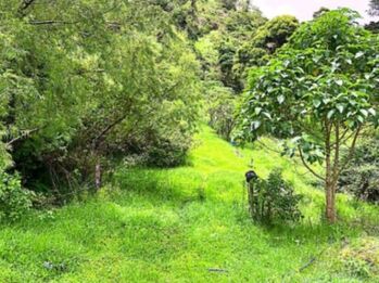 Venta de Finca en Dota, San José. RAH 26-212 en Copey, Dota, San José — 182 000 000 ₡ - Foto 5 de 18