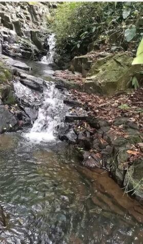 ESPECTACULAR FINCA EN CUTRIS DE SAN CARLOS.  en Cutris, San Carlos, Alajuela — ₡ 225 000 000