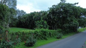 Terreno en venta en Esquipulas de Palmares, Alajuela (1,174.30m2) in Esquipulas, Palmares, Alajuela — 86 000 000 ₡ - Photo 5 of 6
