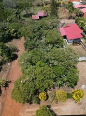 Terreno en Venta en San Pedro de San Ramón in San Pedro, Poás, Alajuela — 135 000 000 ₡ - Photo 4 of 6
