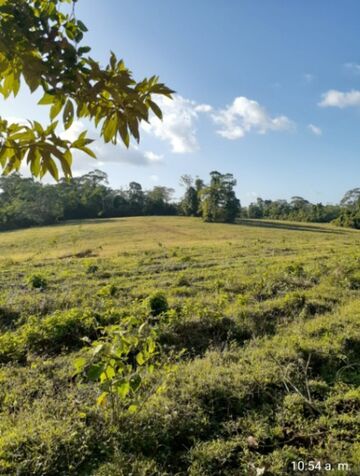 se vende bella finca 56 manzanas infor.al telef.85683261 in El Amparo, Los Chiles, Alajuela — $550,000