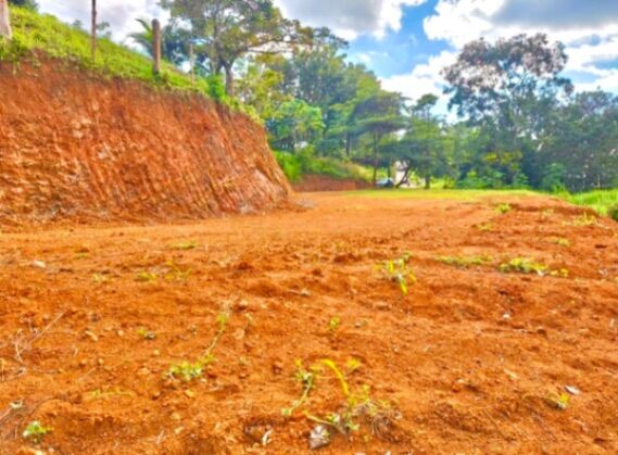 Se vende lote en quepos  en Quepos, Puntarenas — ₡ 35 000 000