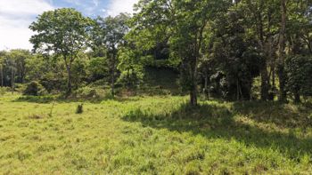 SE VENDE FINCA CON QUEBRADA NATURAL Y FACIL ACCESO EN SAN FRANCISCO DE RIVAS en Rivas, Pérez Zeledón, San José — $650,000 - Foto 2 de 6