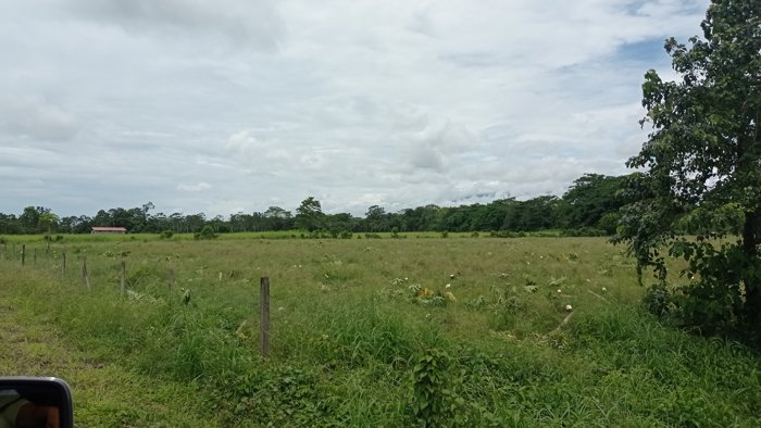 Finca en venta Guapiles, Pococi, desarrollo 5PIV5398744 in Rita, Pococí, Limón — $1,575,000 - Photo 3 of 10