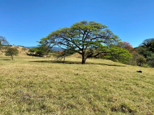 Venta de Lote en Santa Bárbara, Heredia. RAH 25-1834 in Santa Bárbara, Heredia — $650,485