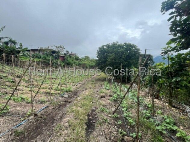 Venta de Lote en Paraíso-Santiago de Cartago. RAH 26-1480  en Santiago, Paraíso, Cartago — ₡ 50 000 000